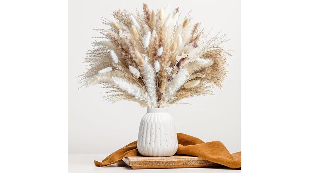 natural dried pampas grass
