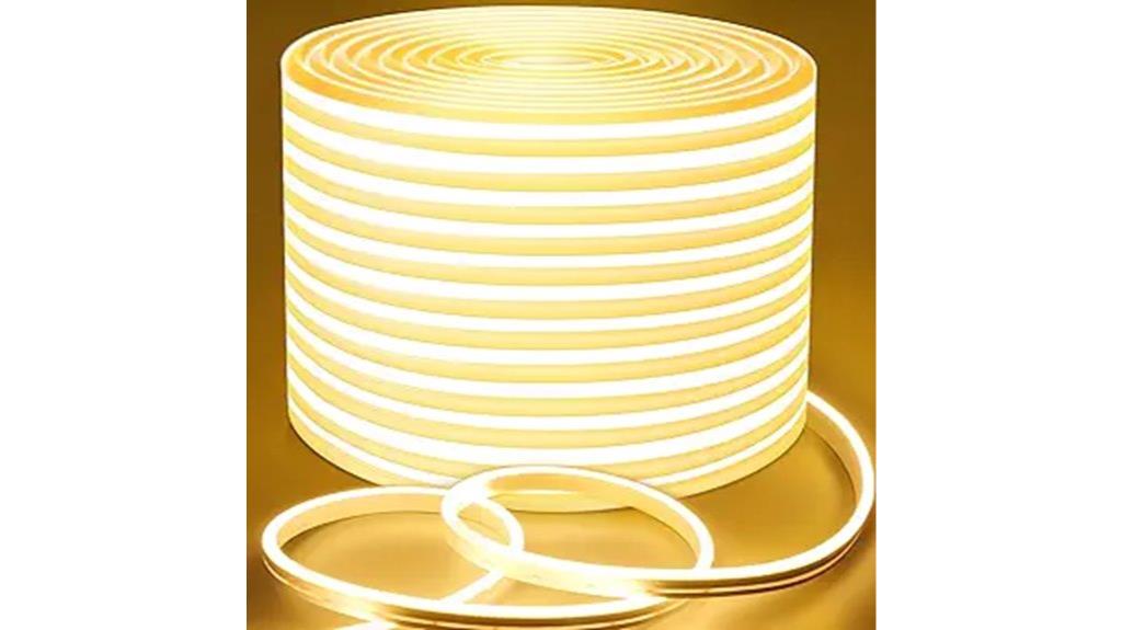 neon rope dimmable lights