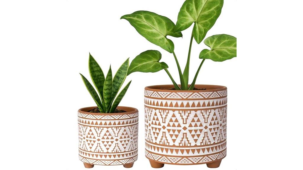 two terracotta planter pots