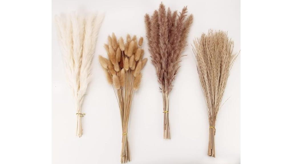white and brown dried pampas