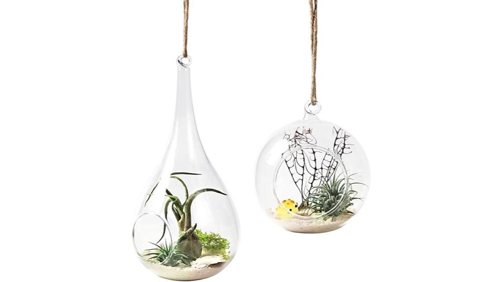glass air plant holders