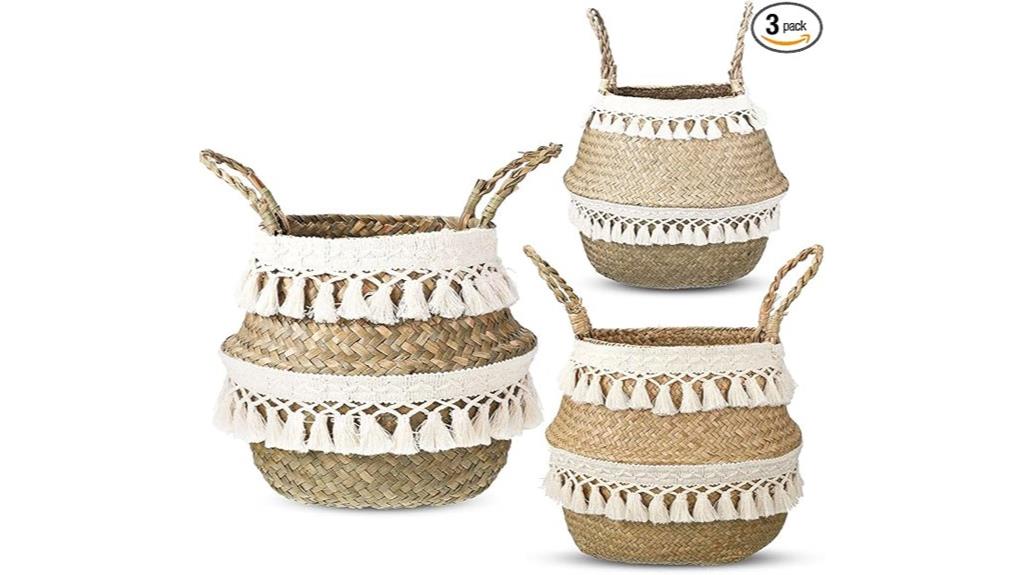 seagrass plant storage set