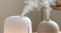 compare humidifiers and diffusers