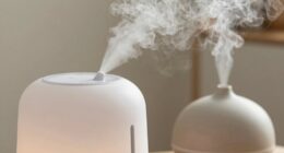 compare humidifiers and diffusers