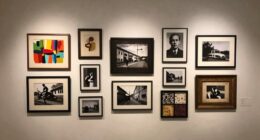 curated art collection tips