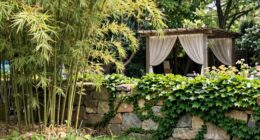 balancing privacy and openness