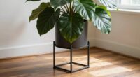 elevated styled plant display