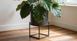elevated styled plant display