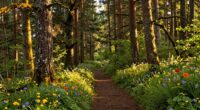 nature refreshes boho mindset