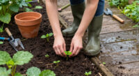 13 Best Outdoor Clogs for Garden Work and Everyday Wear in 2027
